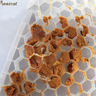 عسل النحل عسل النحل حبوب اللقاح المغذي البلاستيك تغذية النحل لأدوات تربية النحل حبوب اللقاح