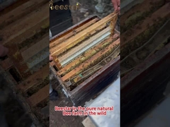 العسل الطبيعي الحلو النقي الخام متعدد الزهور عسل النحل الطبيعي العسل العضوي عسل متعدد الزهور