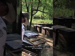 بيع بالجملة عالية الجودة 100% طبيعية عصير الغابات النقي بدون مادة مضافة عصير النحل الطبيعي