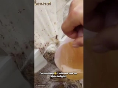 لقاح النحل الخام