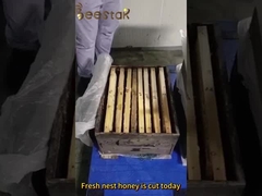 حبوب اللقاح الكبيرة عسل حبوب النحل الخام للبشر والنحل