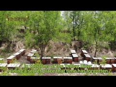 عسل النحل الطبيعي الطازج بدون أي مادة مضافة عسل النحل الطبيعي العسل الخام للرعاية الصحية