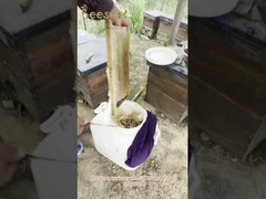 عسل نحل طبيعي خام نقي عضوي 100% طعام صحي