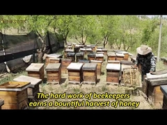 العسل الساخن للبيع من مانوكا 100% طبيعي MGO100+ UMF5+ عسل النحل الطبيعي من نيوزيلندا