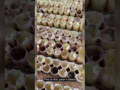 ذهب سائل نقي طبيعي رويال 10-HDA غذاء صحي طازج غذاء ملكات 1000 مجم ملكة