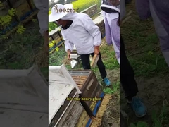 عسل نحل عضوي طبيعي سدر ذو رائحة ولون مميزين