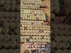 10-HDA غذاء ملكات النحل العضوي الطازج غذاء ملكات النحل النقي للعناية الصحية