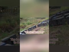 حبوب لقاح النحل متعددة الأزهار الطبيعية، درجة غذائية سائبة