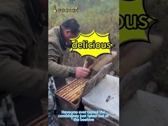 500 جرام عسل نحل طبيعي مشط متعدد الأزهار أصفر فاتح درجة غذائية