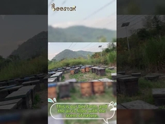 عسل طبيعي خام، حبوب لقاح النحل، حبيبات، نقي، غذاء النحل