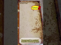 عسل النحل الطبيعي ليس لذيذًا فحسب، بل غني أيضًا بمغذيات متنوعة.