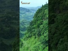 نأخذكم لزيارة مزرعة النحل التي تقع في أعماق الجبال ونقترب من الطبيعة