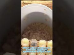 هل تعرف كيف يتم جمع غذاء ملكات النحل؟ بعد قراءة هذا، ستفهم