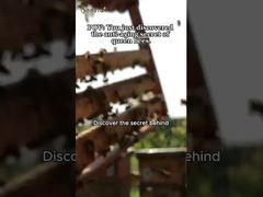 10 هـ دي إيه عالية الطبيعية العضوية الطازجة المهبل الملكي النقي المهبل الملكي للرعاية الصحية