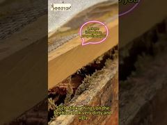 البروبوليس مناسب للرعاية الصحية اليومية والتكييف. إنه 