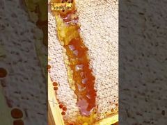 لحظة شفاء العسل، حلاوة طبيعية تجعلك تقع في حبها من أول قضمة