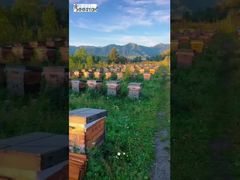 تحولت المناظر الجبلية بأكملها إلى مذاق حلو ومنعش على طرف