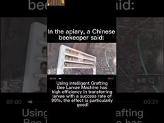 معدات التلقيح الاصطناعي للنحل الملكة النسخة القياسية مع مجموعات للتجارب الزراعية