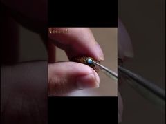 عرض آلة نقل يرقات النحل الذكية لتربية الملكات في عرض تربية النحل