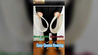 لا يوجد نظام لتربية ملكة النحل