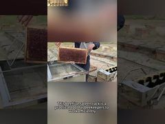 خلية النحل الإطار الجرف دعم خزان العسل