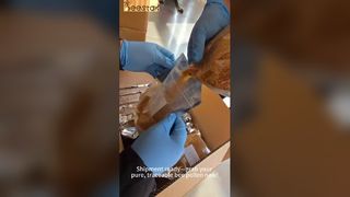 حبوب لقاح النحل الممتازة: أخذ العينات، وإمكانية التتبع، ونضارة محكمة الغلق