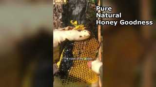 لماذا يعتبر العسل الأسود أفضل غذاء لمخزنك؟