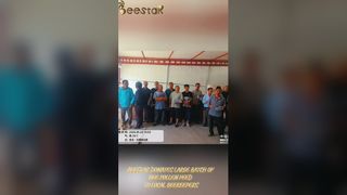 حبيبات حبوب لقاح النحل الخام النقية عالية الجودة