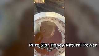 عسل السدر النقي يعزز الطاقة الطبيعية