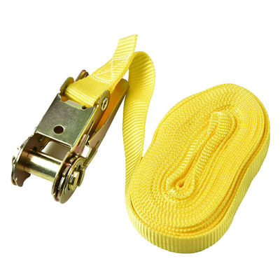 شراء Metal Beehive Lashing Strap 5M Length 2.5cm Width for Bee Frames and Beekeeping Hobbyist التصنيع عبر الإنترنت