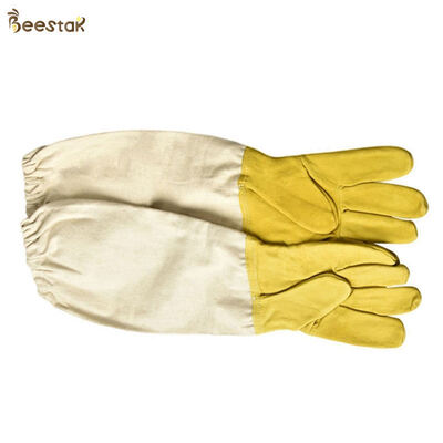 شراء Economic Sheepskin Beekeeping Gloves with Leather and Canvas in Yellow and White for Bee Protection التصنيع عبر الإنترنت