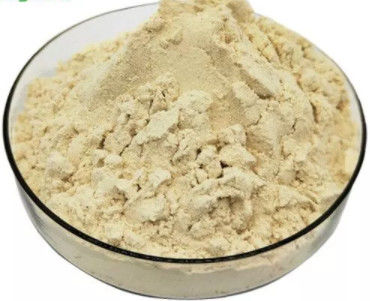 شراء مسحوق غذاء ملكات النحل المجفف بالتجميد عضوي طازج نقي 5.5٪ 10-HDA منتجات نحل العسل التصنيع عبر الإنترنت